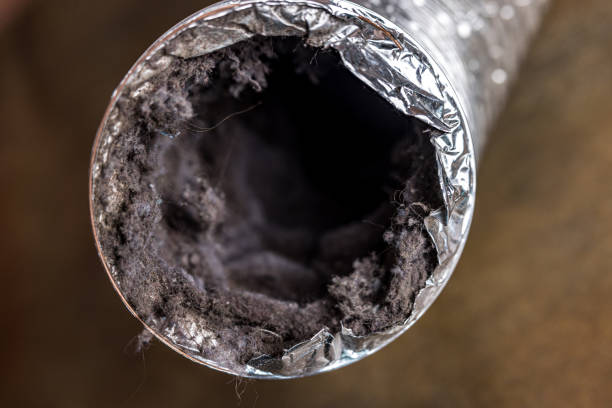 Best Professional Duct Cleaning Services  in Boscobel, WI